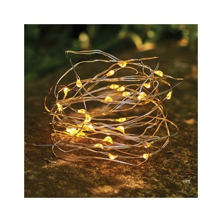 Globe Electric 50LT WW LED String LGT 67854